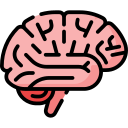 Enhances Focus and Mental Clarity