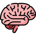 Enhances Focus and Mental Clarity